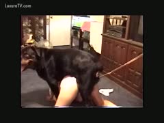 A sultry whore is ridden by a black dog.